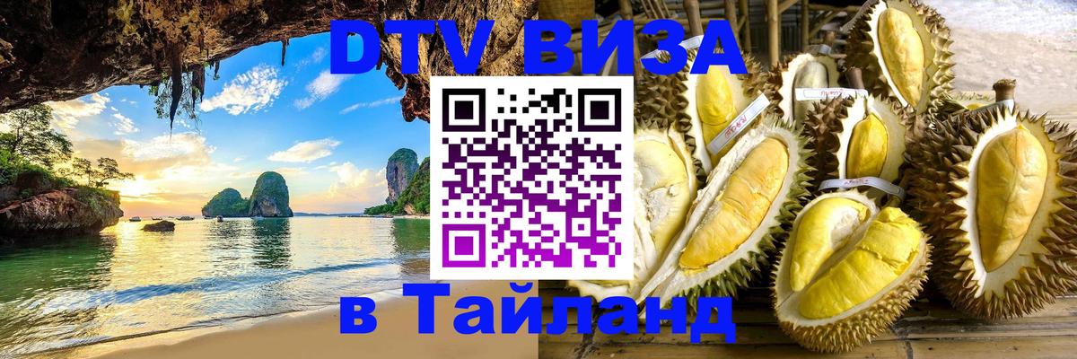Оформление DTV визы под ключ: стоимость и тарифы, только загранпаспорт - 